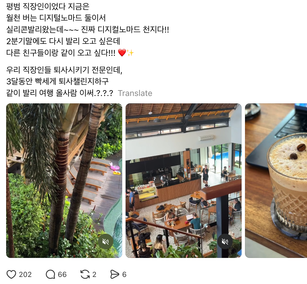 발리 디지털노마드 후기